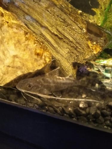 05:14:45 GMT-0600 (CST)