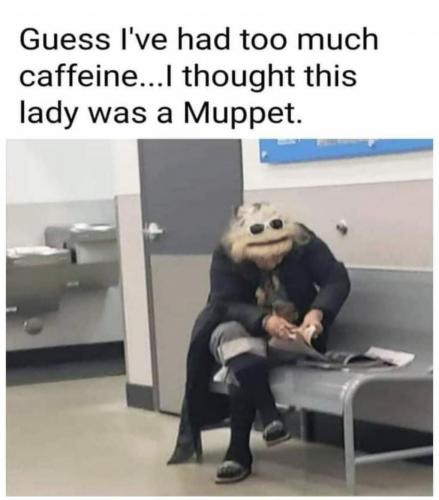 Muppet Lady