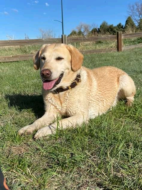 10:30:40 GMT+0100 (WAT)