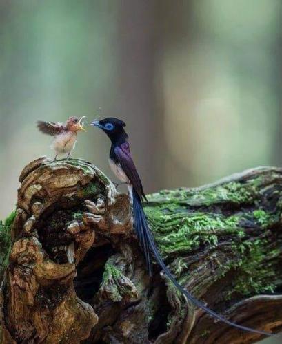 131987249_10226496591268094_5479435852806333319_n