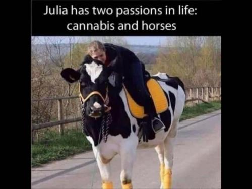 18:31:19 GMT-0600 (CST)