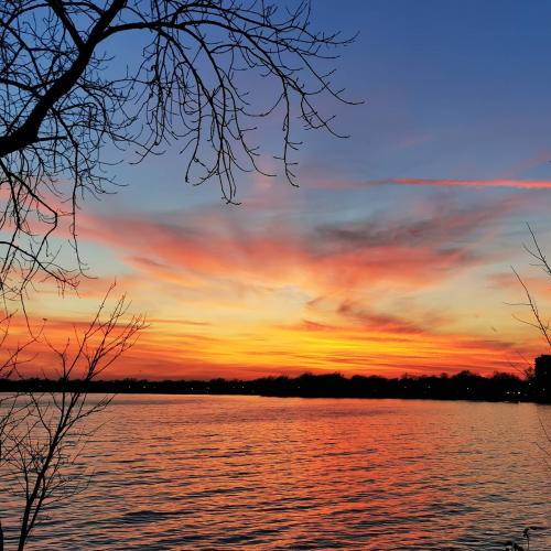 IMG_20201107_170438_883