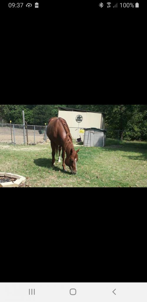 18:16:46 GMT-0600 (CST)