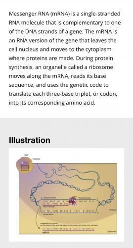 18:55:25 GMT-0600 (CST).image