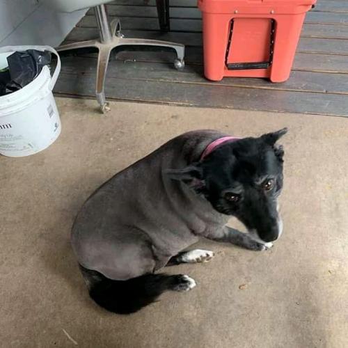 12:38:32 GMT+0100 (WAT)