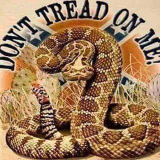 FB_IMG_1606779456491