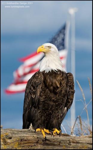 tumblr_a92ec9c682a821dc695d242fc3ab2b19_5a9a3a85_540