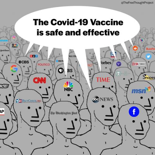 132034175_2450654811908385_2559368856259264240_o