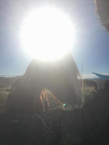 07:11:33 GMT-0800 (PST).image