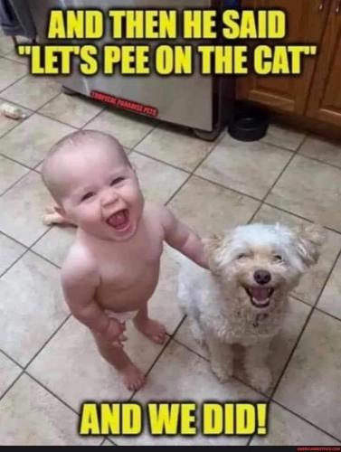 03:51:59 GMT-0600 (CST)