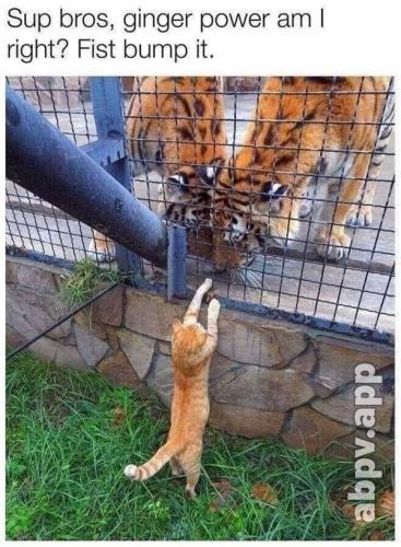 06:35:44 GMT-0600 (CST).image