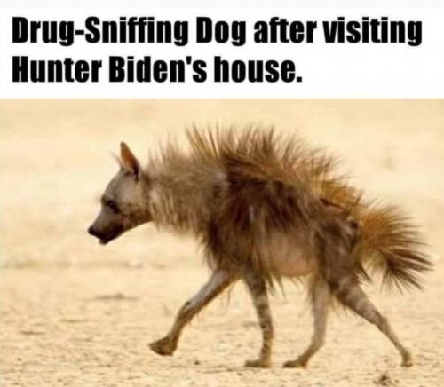 Screenshot_20201210-124945_Parler