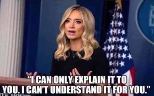 Kayleigh McEnany Explain