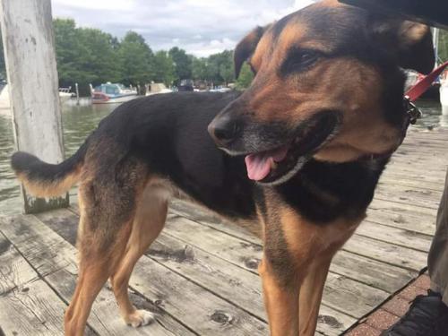 10:19:56 GMT+0100 (WAT)