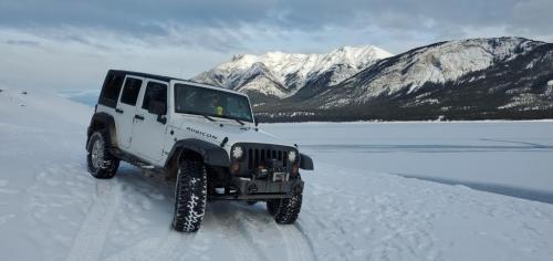 Ruby at Abraham Lake