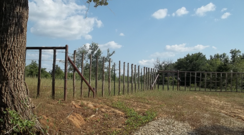 Screen Shot 2020-12-14 at 12.14.53 AM