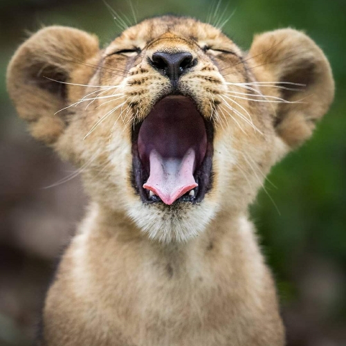 21:45:20 GMT-0600 (CST)