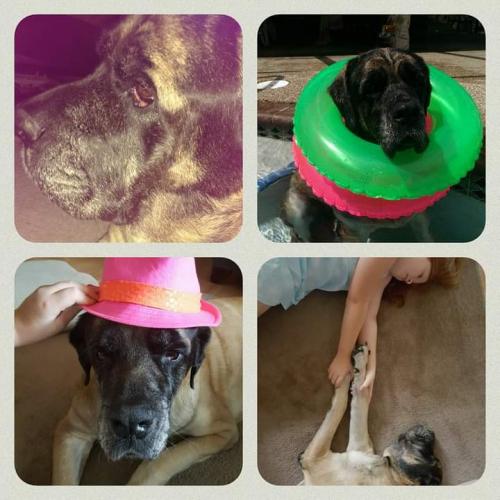 16:54:41 GMT+0100 (WAT)