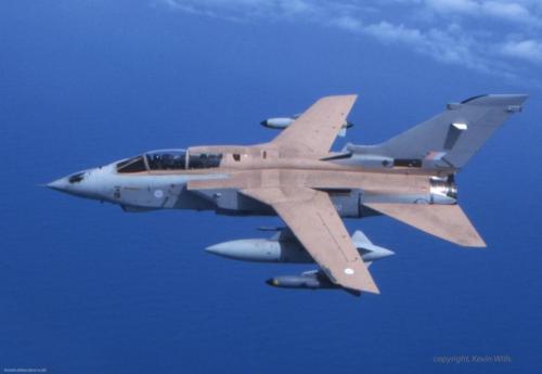 133356002_3407177646057259_7115784168276343150_o