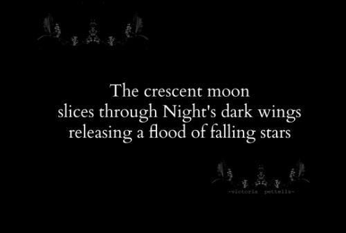 tumblr_7c1edbc3771d9421c453ad2515464efd_c73de197_540