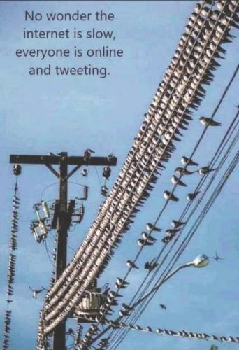 16:29:20 GMT-0500 (EST)