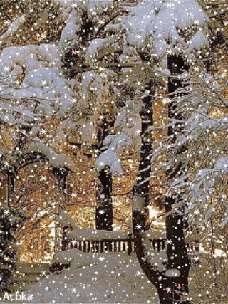 12:29:10 GMT-0600 (CST)