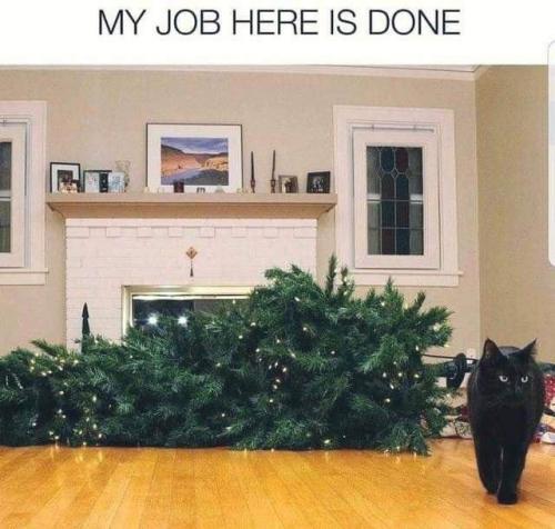 63BB5BC1-8A17-4FA2-84F1-0B89AE3E09F7