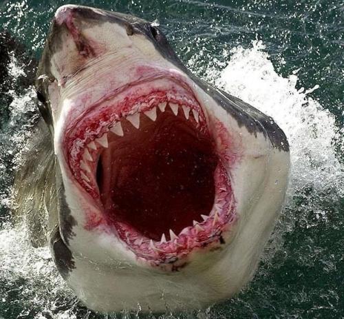 07:28:40 GMT-0500 (EST).image