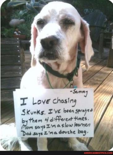 23:05:22 GMT-0600 (CST).image