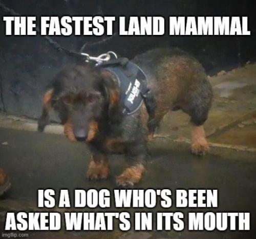 19:15:47 GMT-0800 (PST).image