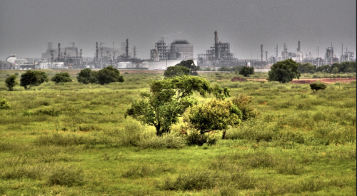 Screen Shot 2020-12-14 at 12.19.01 AM