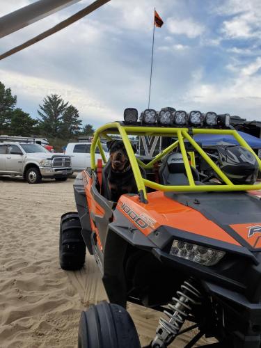 13:50:20 GMT-0800 (PST)