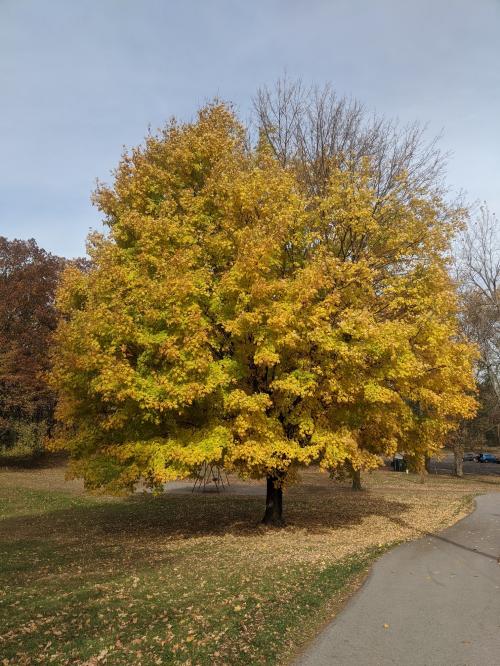 10:57:01 GMT+0100 (WAT).image