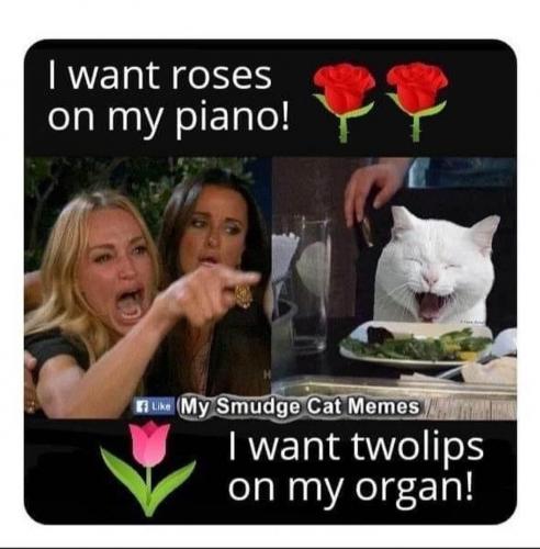 19:58:33 GMT-0500 (EST).image