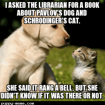 ff772fe89e733c357d85b8056e72687eb03560c8fdd02947fb65284521aef713