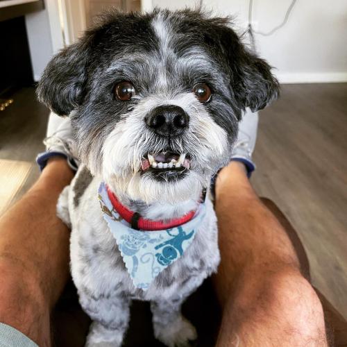 22:54:42 GMT+0100 (WAT)