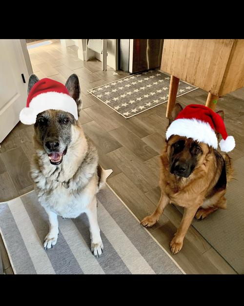 C10E4329-5F48-49C7-91EE-9F961E358368