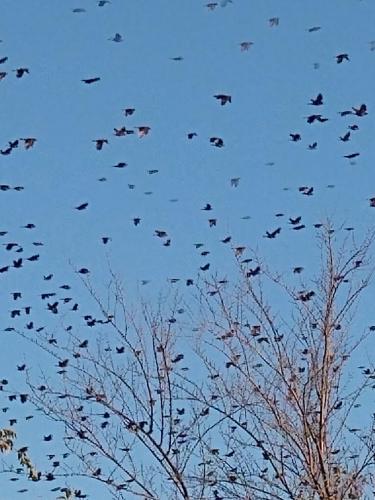 IMG_20201208_164707655_MP