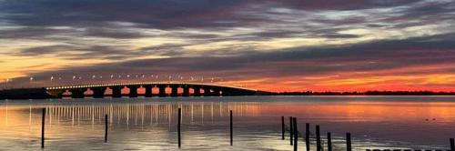 13:49:57 GMT-0500 (EST)