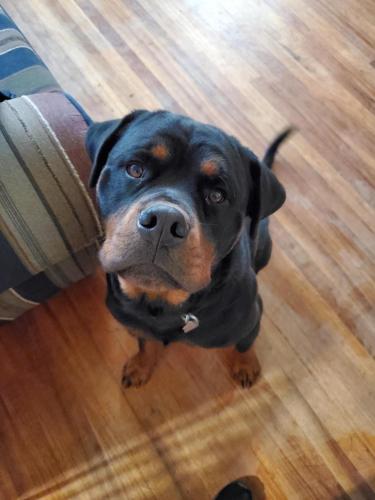 13:23:54 GMT-0800 (PST)