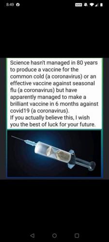 FB_IMG_1607001908233