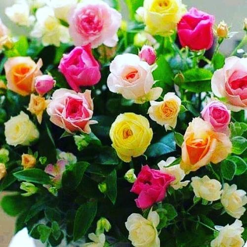 12:30:24 GMT+0100 (WAT).image