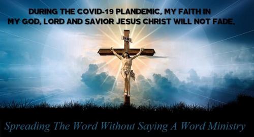 40de8471a13083fbf6416d28baba7889