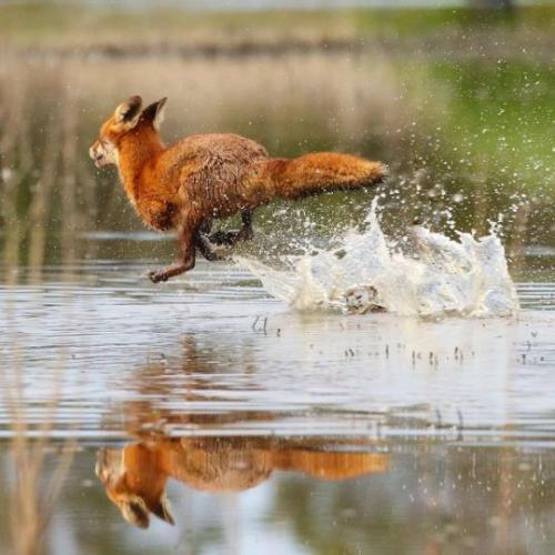 tumblr_872c0aeed5a9f7b2874f2b1a4f872f9d_27cf71c3_540