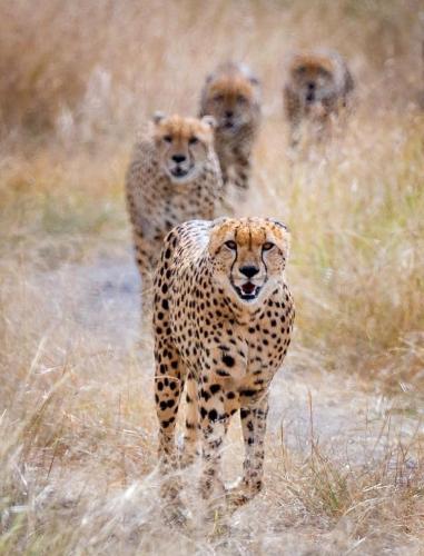 tumblr_cc1764be90372a269b231742a3e4eda6_eff22270_1280