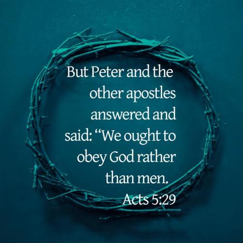 17:22:29 GMT-0500 (EST)