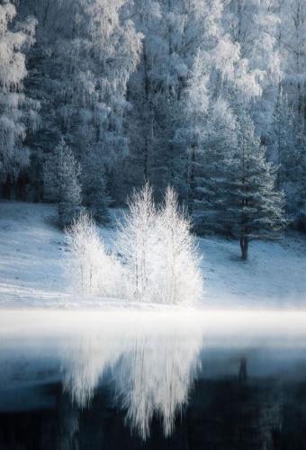 tumblr_041e1388beed54c9d9594cb50b94bd3f_8ae141e7_540