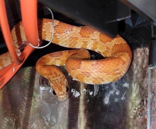 12:47:28 GMT-0500 (EST)