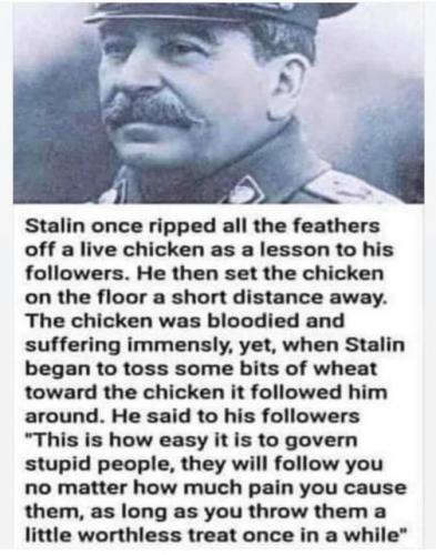 131074526_4275222502506082_7184617756495463423_n