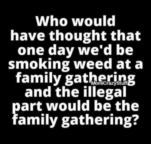 tumblr_8244787bf28c6d16ac91849ee4da6e70_49856585_540